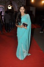at ITA Awards red carpet in Mumbai on 4th Nov 2012,1 (169).JPG